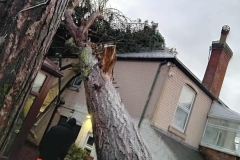 559178363_122103111555074732_6014266462284549445_n