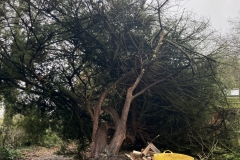 WhatsApp-Image-2026-02-03-at-19.15.09