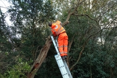 WhatsApp-Image-2026-02-03-at-19.15.11-2