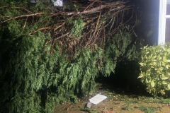 WhatsApp-Image-2026-02-03-at-19.15.14-2