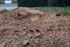 622438358_122119174335074732_8768706079026117587_n