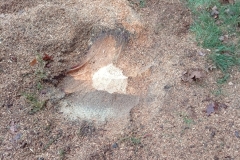 WhatsApp-Image-2026-02-03-at-19.14.59