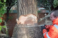 WhatsApp-Image-2026-02-03-at-19.14.57-1