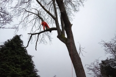 WhatsApp-Image-2026-02-03-at-19.15.04-1