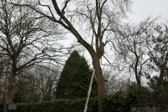 WhatsApp-Image-2026-02-03-at-19.15.04