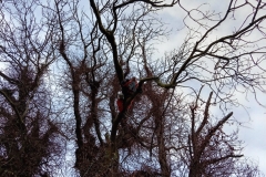 WhatsApp-Image-2026-02-03-at-19.15.06-2