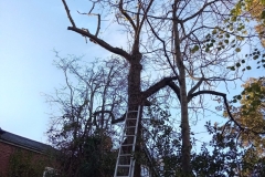 WhatsApp-Image-2026-02-03-at-19.15.10