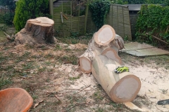 WhatsApp-Image-2026-02-03-at-19.15.16-1