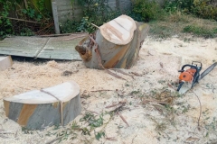 WhatsApp-Image-2026-02-03-at-19.15.16-2