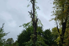 WhatsApp-Image-2026-02-03-at-19.15.17-1