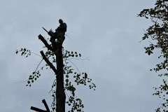 WhatsApp-Image-2026-02-03-at-19.15.17